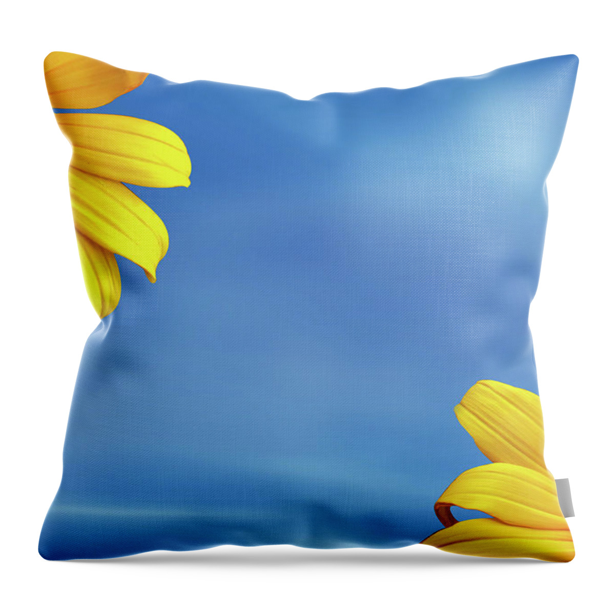 Blossom Throw Pillow featuring the photograph Two Yellow Flower by Ridwan Photography
