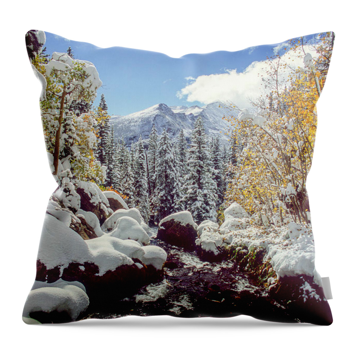 Landscape Throw Pillow featuring the photograph Tyndall Creek by Eric Glaser