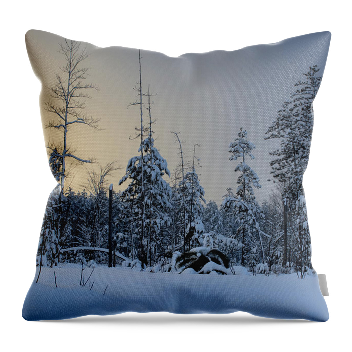  Throw Pillow featuring the photograph Ufo II by Dan Hefle