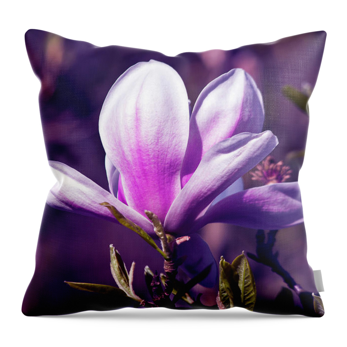 Ultra Violet Magnolia Throw Pillow featuring the photograph Ultra Violet Magnolia by Silva Wischeropp