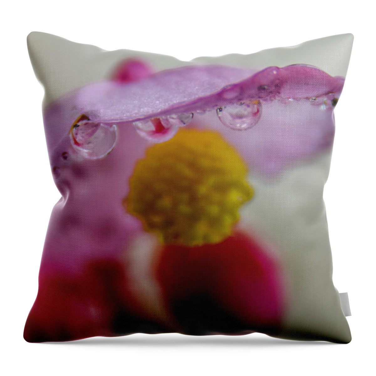 Plant Throw Pillow featuring the photograph Umbrella Blossom by Wolfgang Stocker