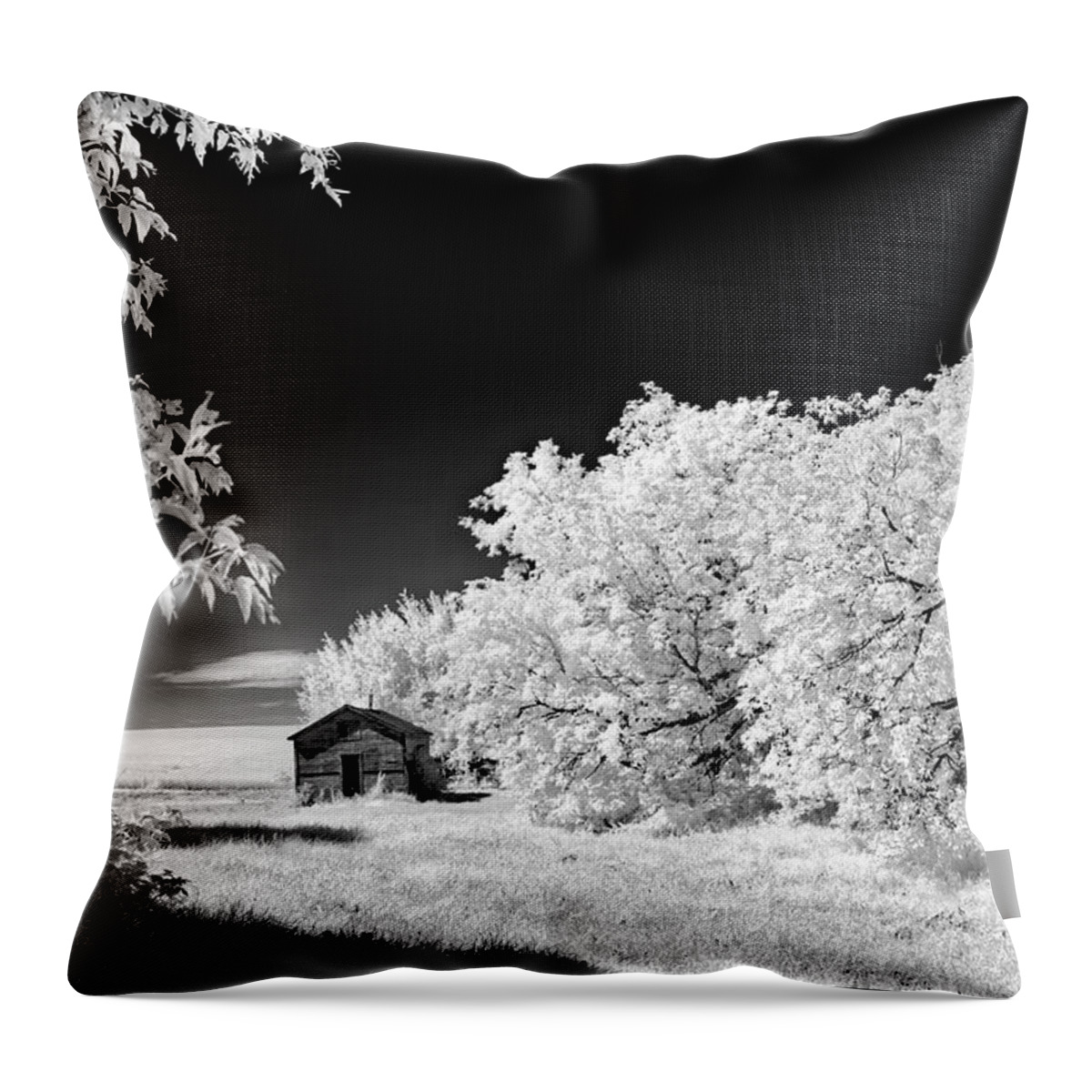 Infrared Throw Pillow featuring the photograph Under a Dark Sky by Dan Jurak