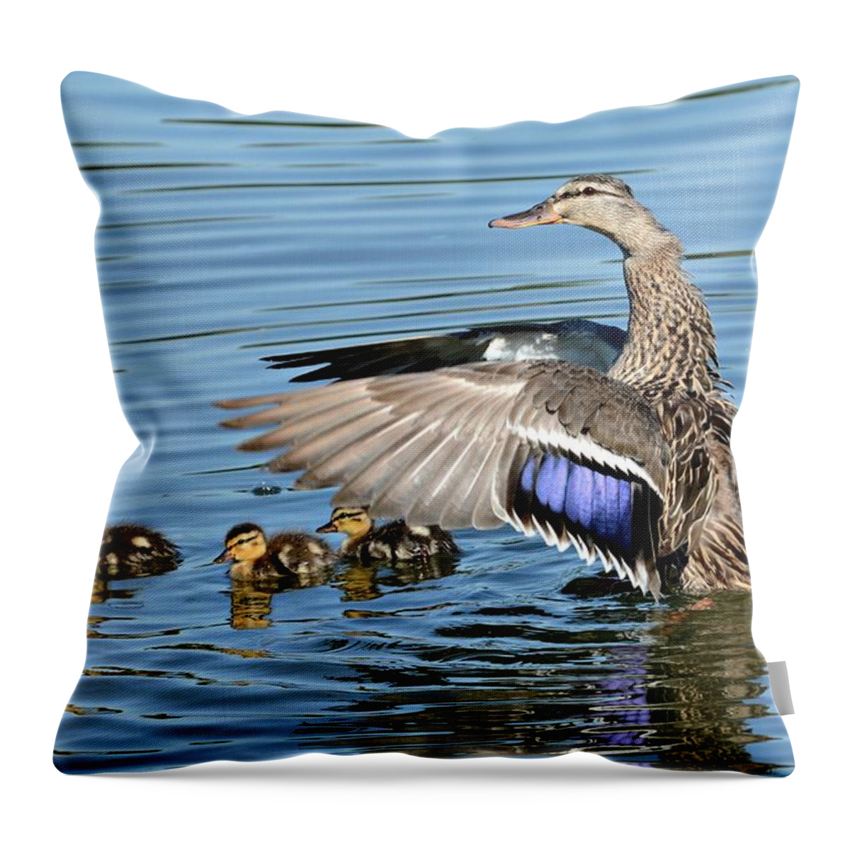 Mallards Throw Pillow featuring the photograph Under My Wings by Fraida Gutovich