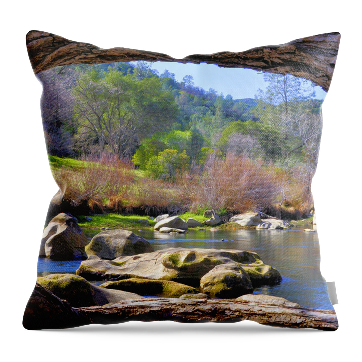 Landscape Throw Pillow featuring the photograph Under the Arch by Josephine Buschman