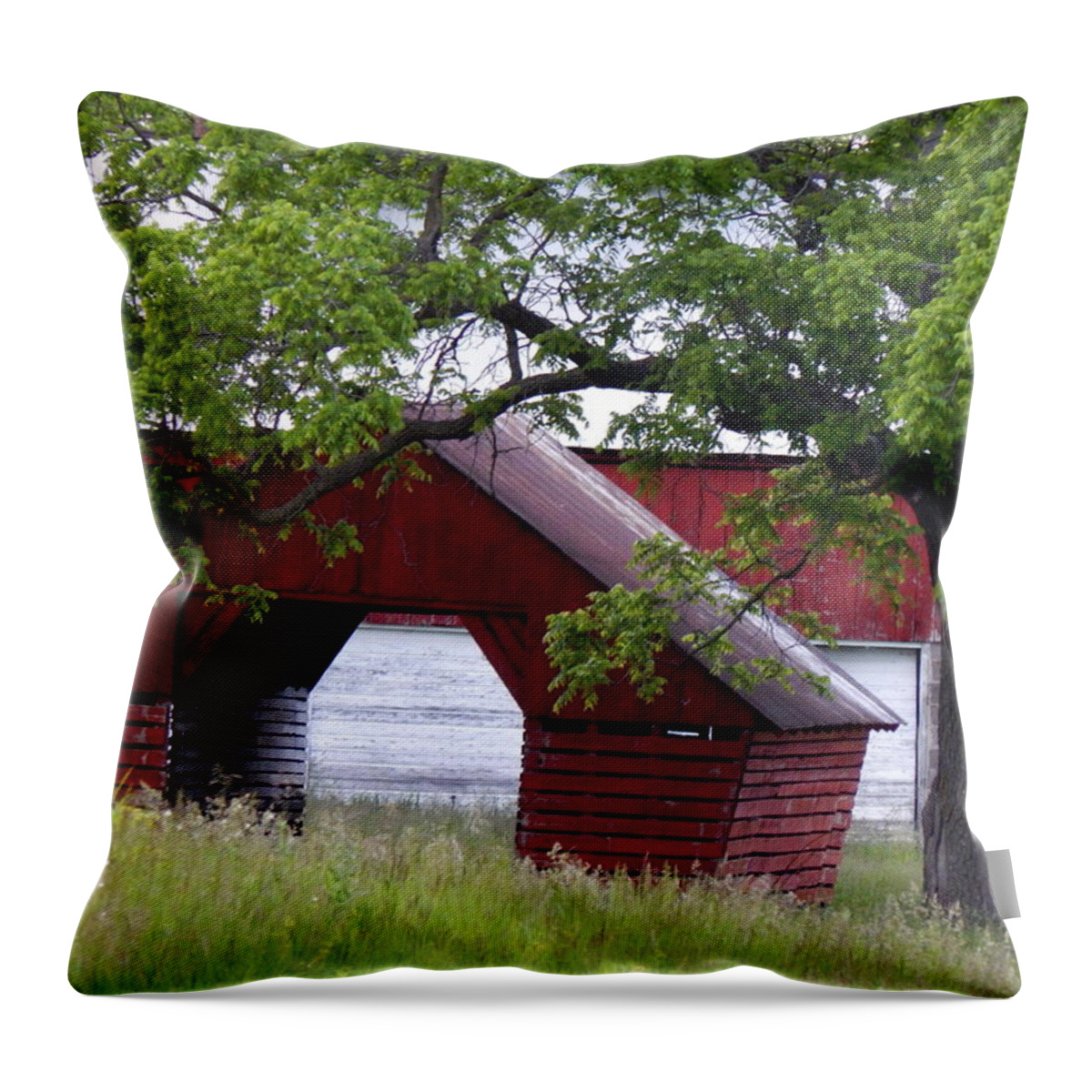 Spring Throw Pillow featuring the photograph Under the Oak by Wild Thing