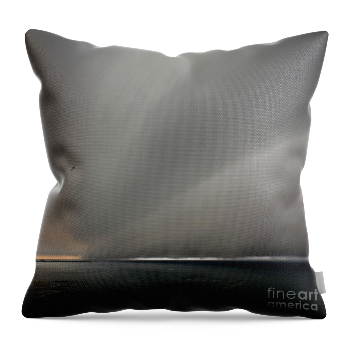 Photography By Paul Davenport Throw Pillow featuring the photograph Under the weather with fleeing gull by Paul Davenport
