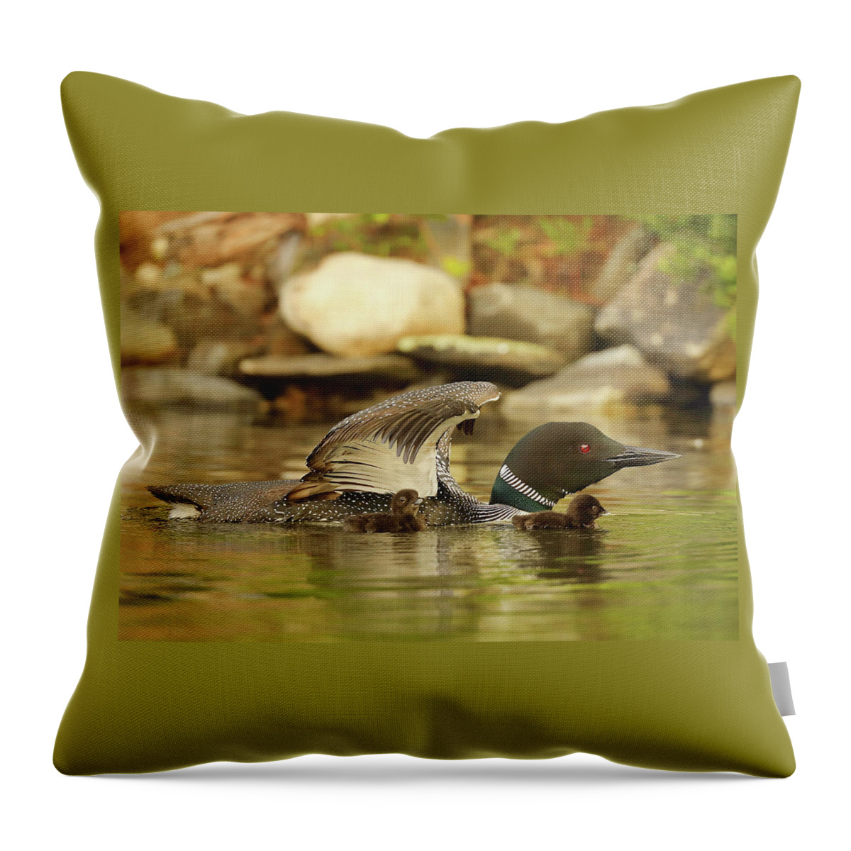 Loon Throw Pillow featuring the photograph Under the Wing by Duane Cross
