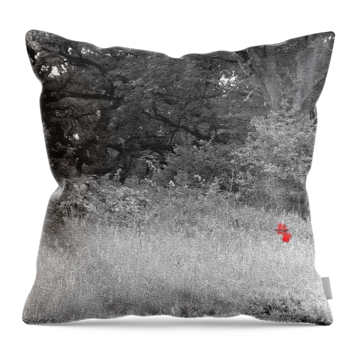 Photography Throw Pillow featuring the photograph Unexpected by Kathie Chicoine