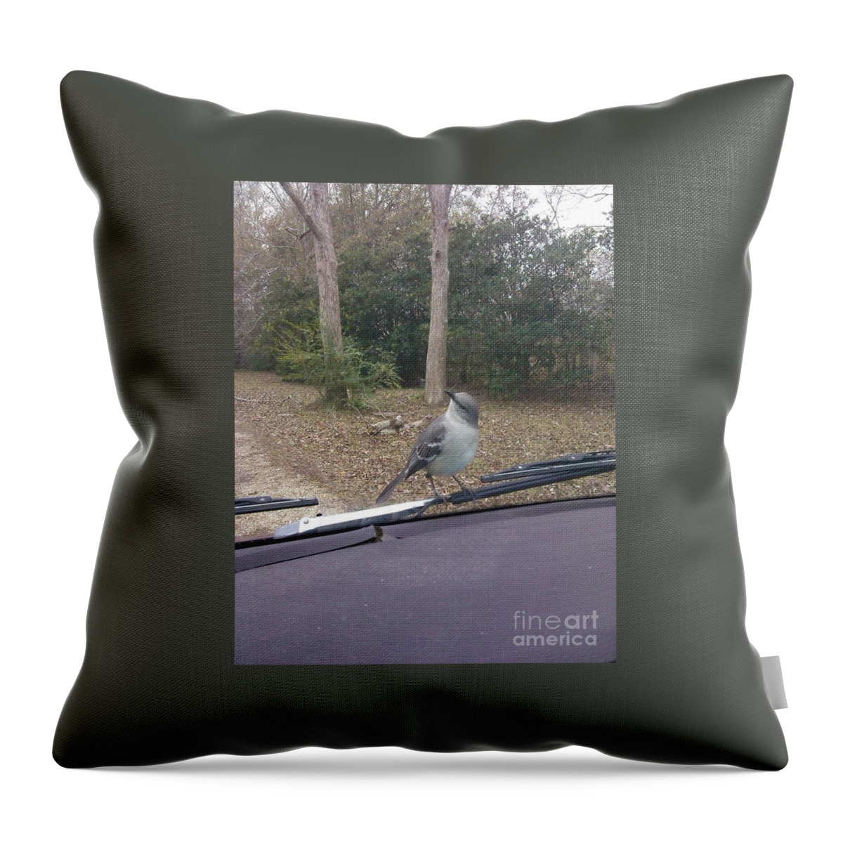 Unexpected Visitor Throw Pillow featuring the photograph Unexpected Visitor by Seaux-N-Seau Soileau
