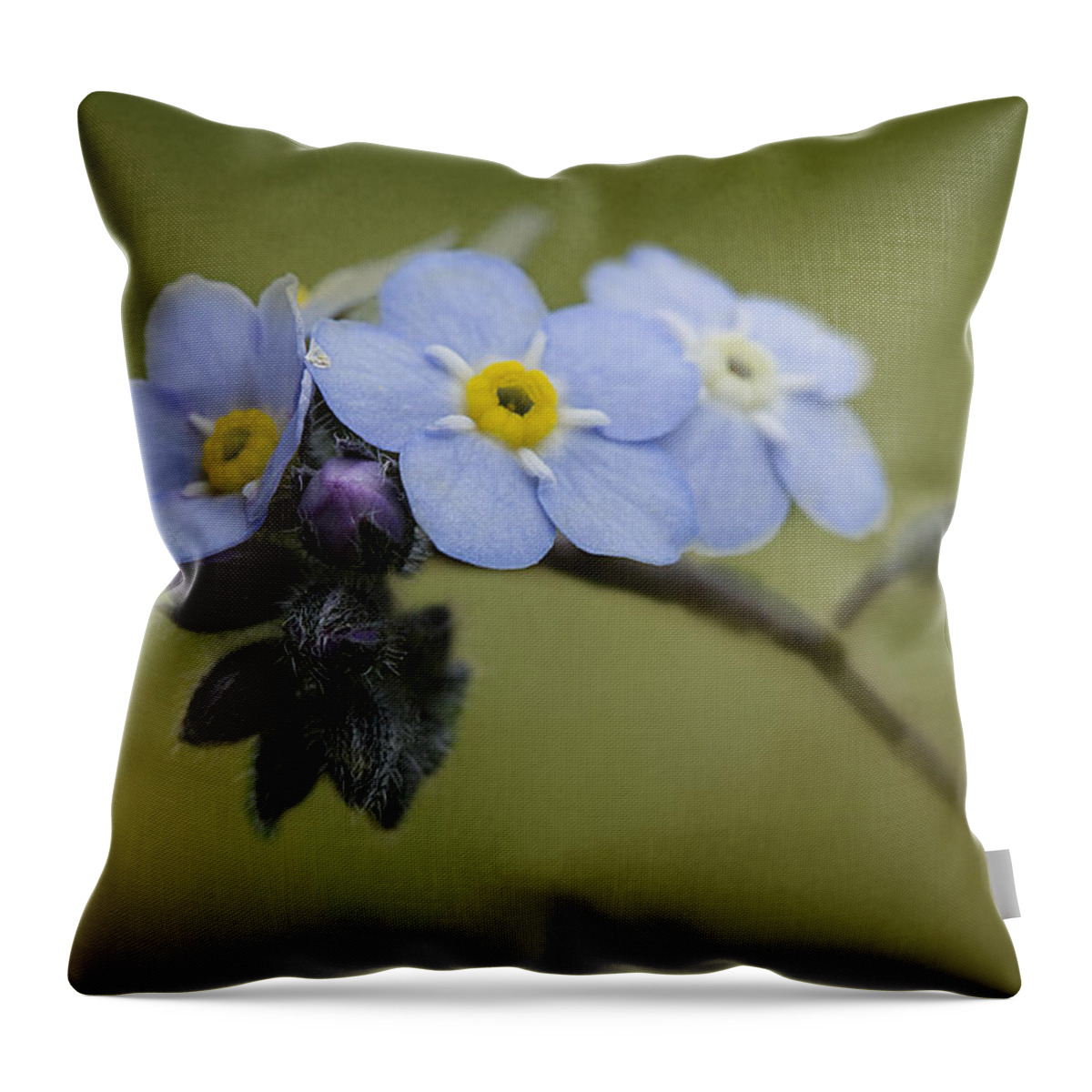 Unforgettable Throw Pillow featuring the photograph Unforgettable by Morgan Wright