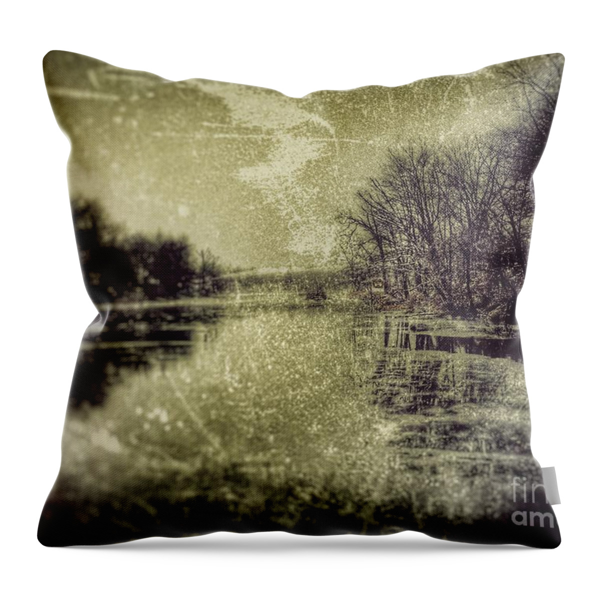 Landscape Throw Pillow featuring the photograph Unfrozen Lake by Jason Nicholas