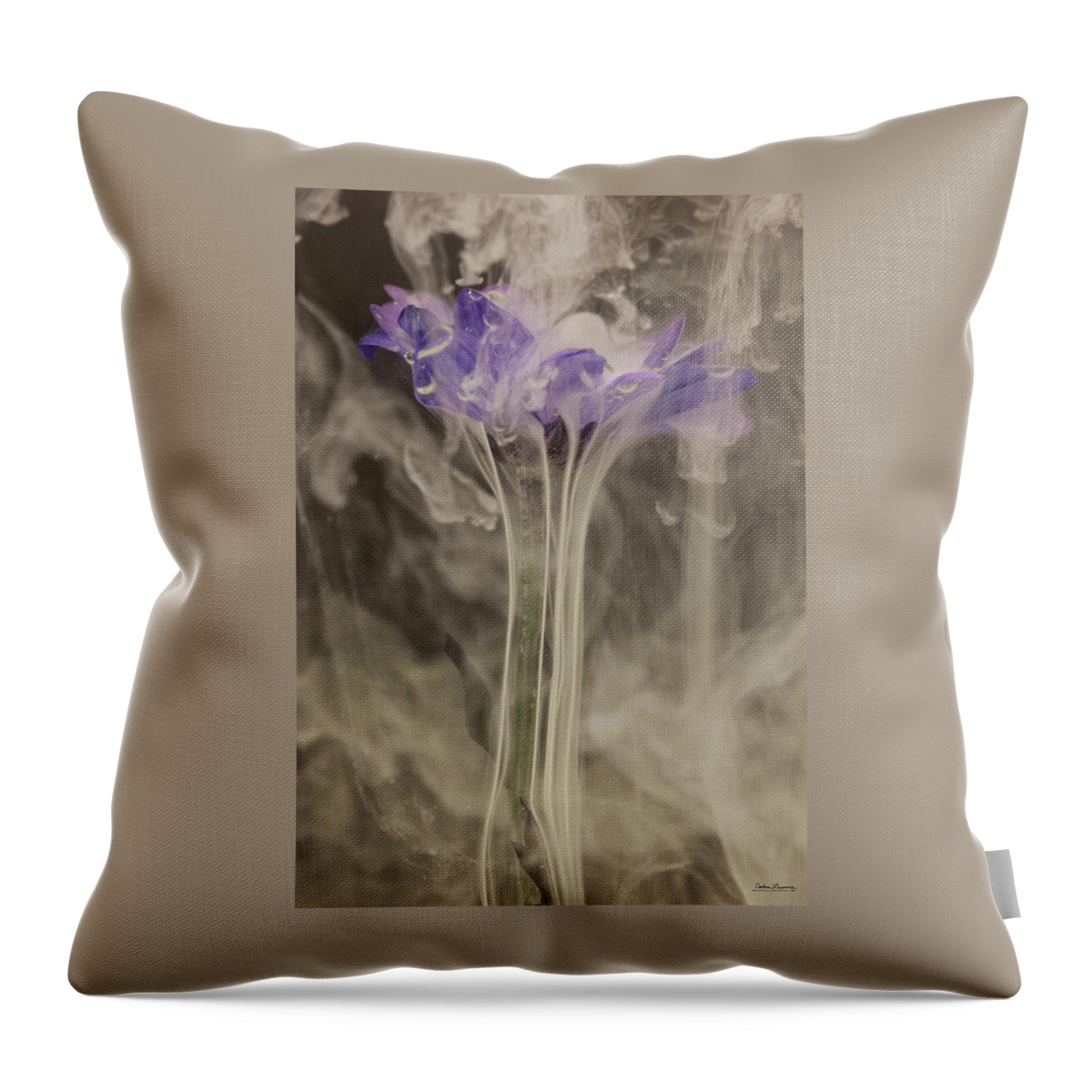 Saskatchewan Throw Pillow featuring the photograph Unique Flowers 5 by Andrea Lawrence