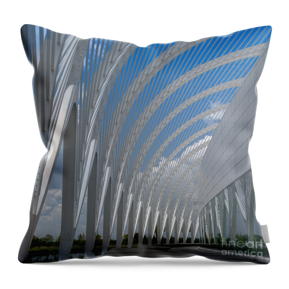 Florida Poly Tech University Throw Pillow featuring the photograph University Arching Lines by Sue Karski
