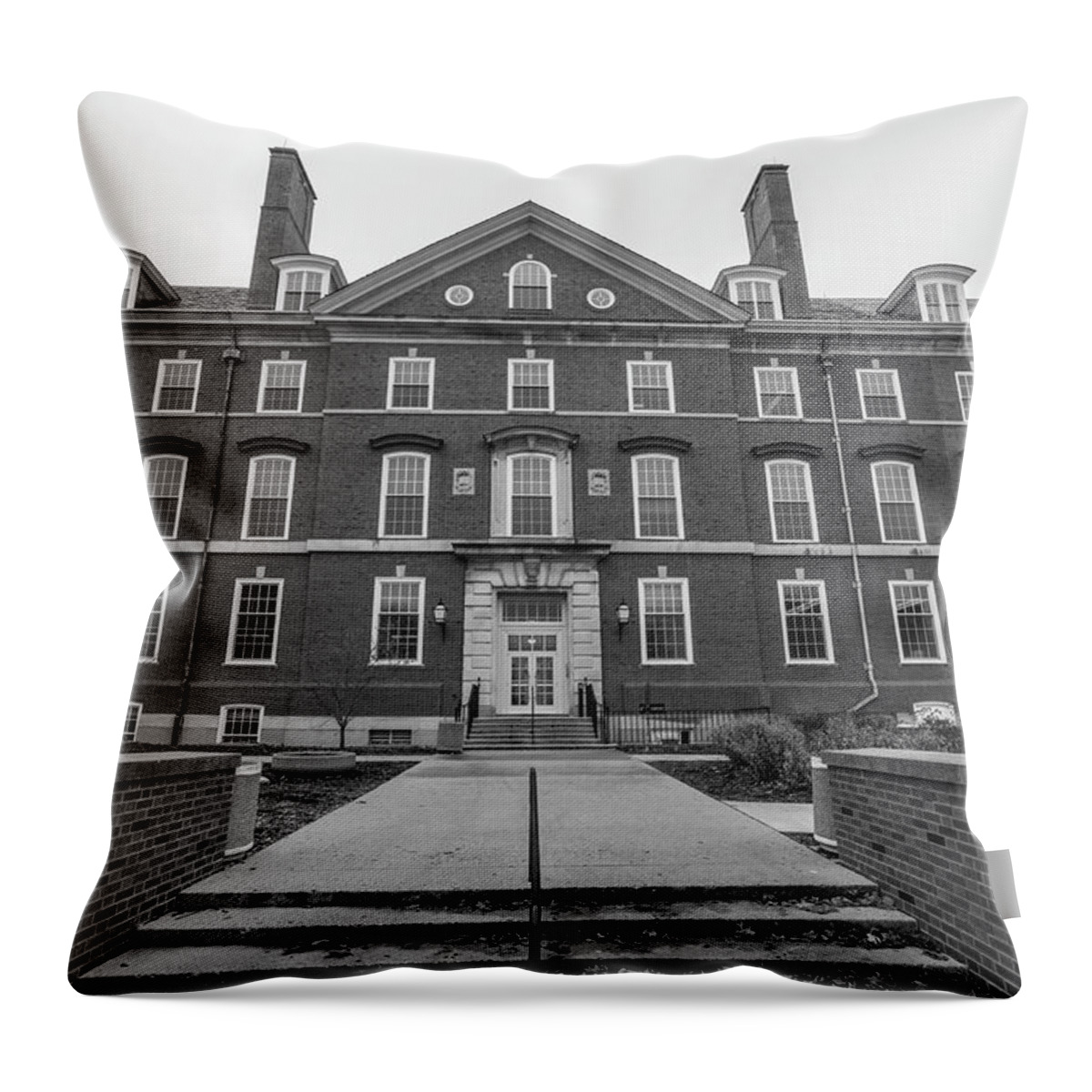 Big Ten Throw Pillow featuring the photograph University of Illinois Campus 2 by John McGraw