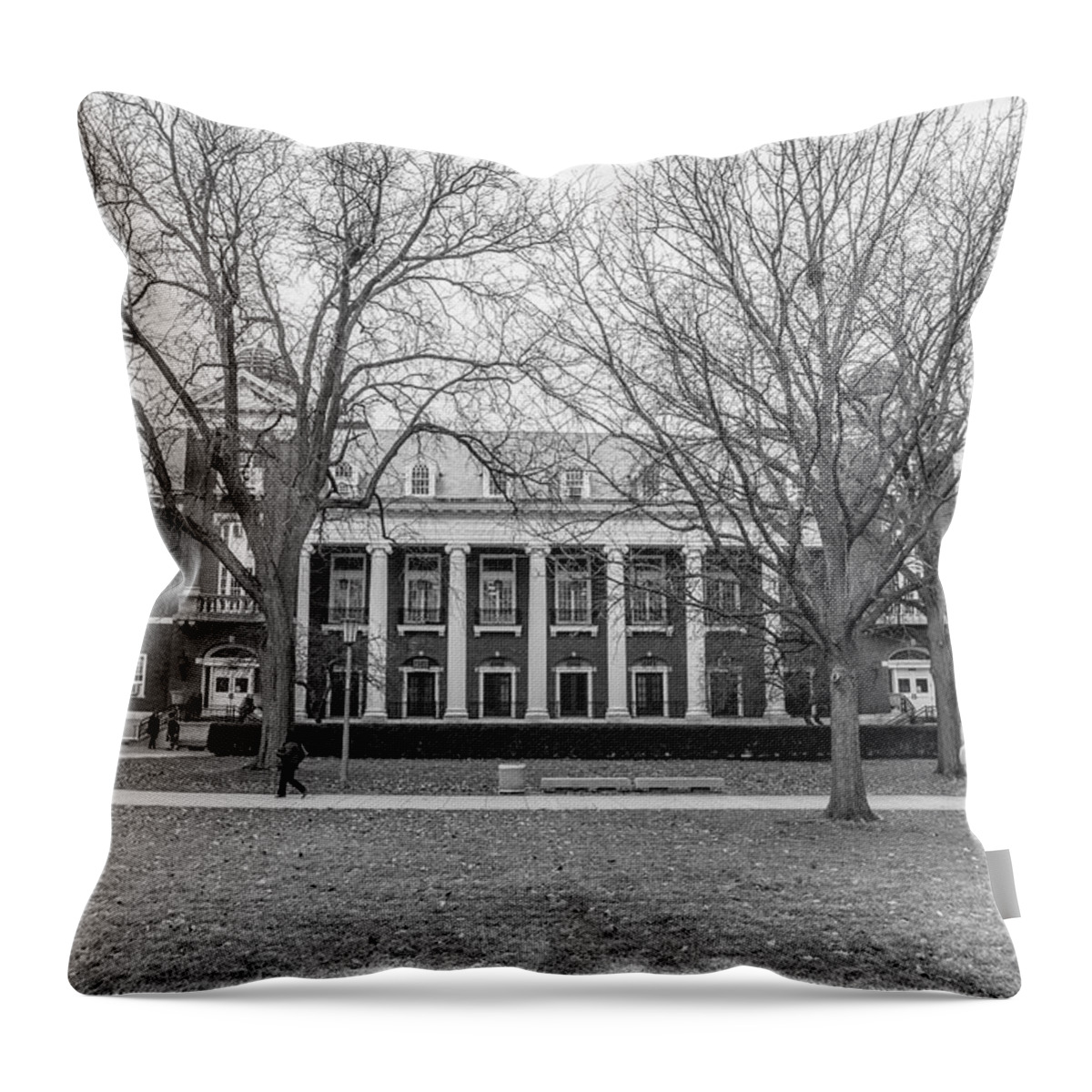 Big Ten Throw Pillow featuring the photograph university of Illinois English Building by John McGraw