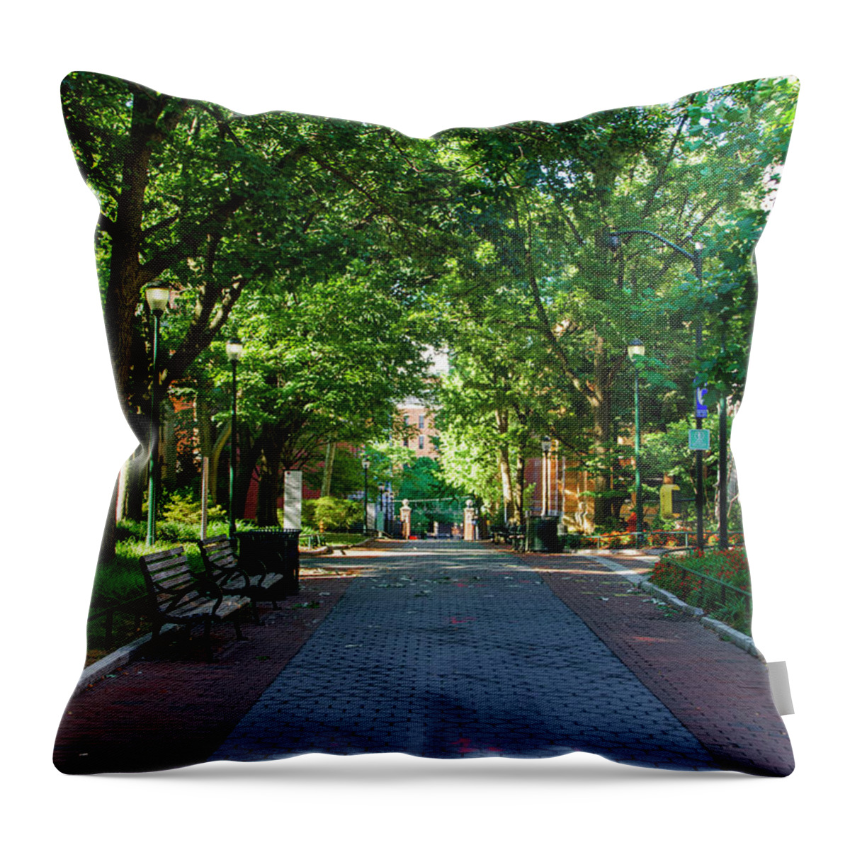 University Throw Pillow featuring the photograph University of Pennsylvania Campus - Philadelphia by Bill Cannon