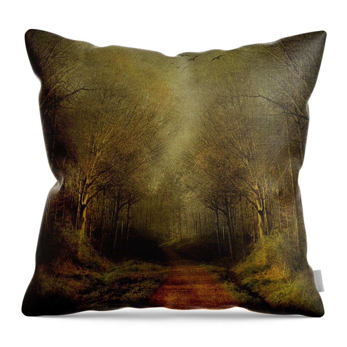Fantasy Throw Pillow featuring the digital art Unknown Footpath by Svetlana Sewell
