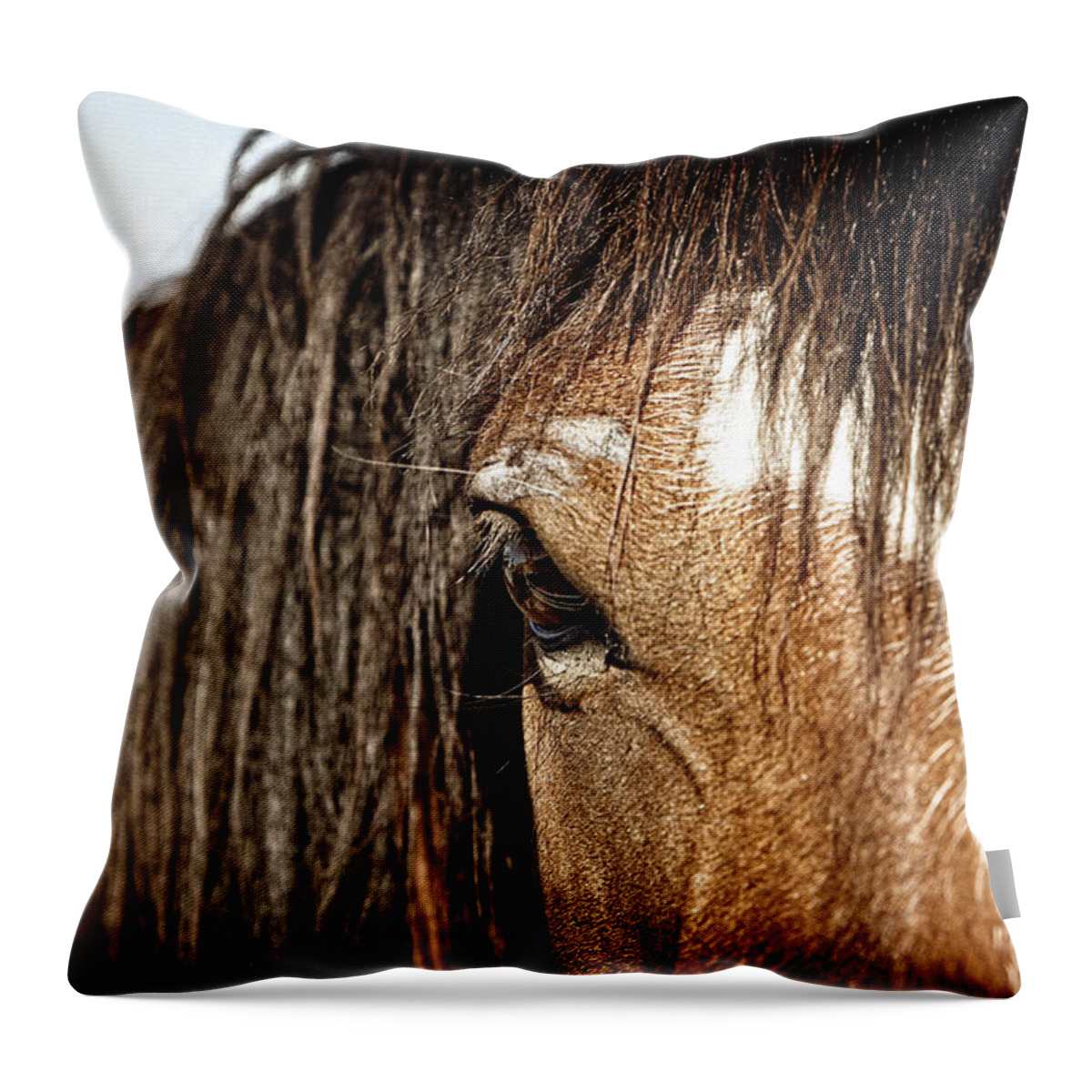 Horse Throw Pillow featuring the photograph Untamed by Lincoln Rogers