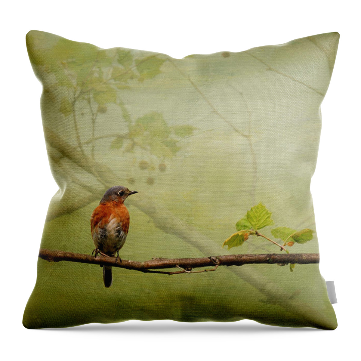 Bluebirds Throw Pillow featuring the photograph Until Spring by Lois Bryan