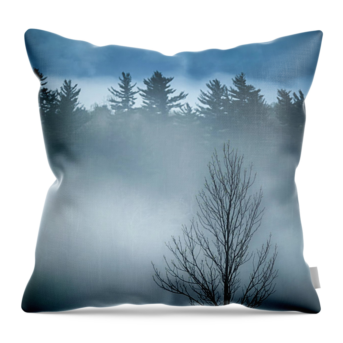 Asheville Throw Pillow featuring the photograph Untitled by Doug Sturgess