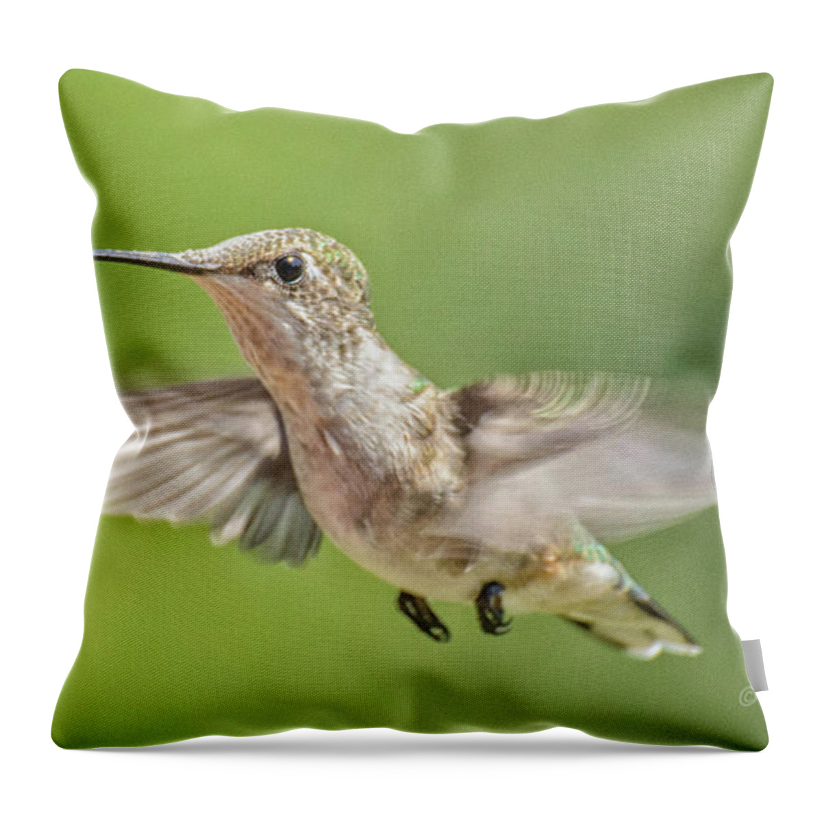 Hummingbirds Throw Pillow featuring the photograph Untitled Hum_bird_three by Paul Vitko
