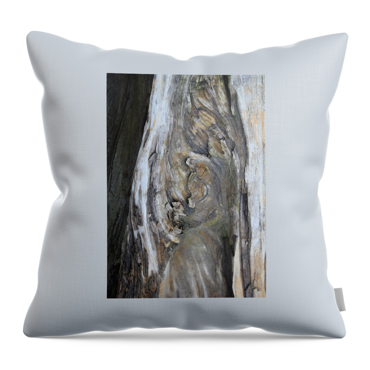 Tidal Throw Pillow featuring the photograph Untitled V - Tidal Wood by Annekathrin Hansen