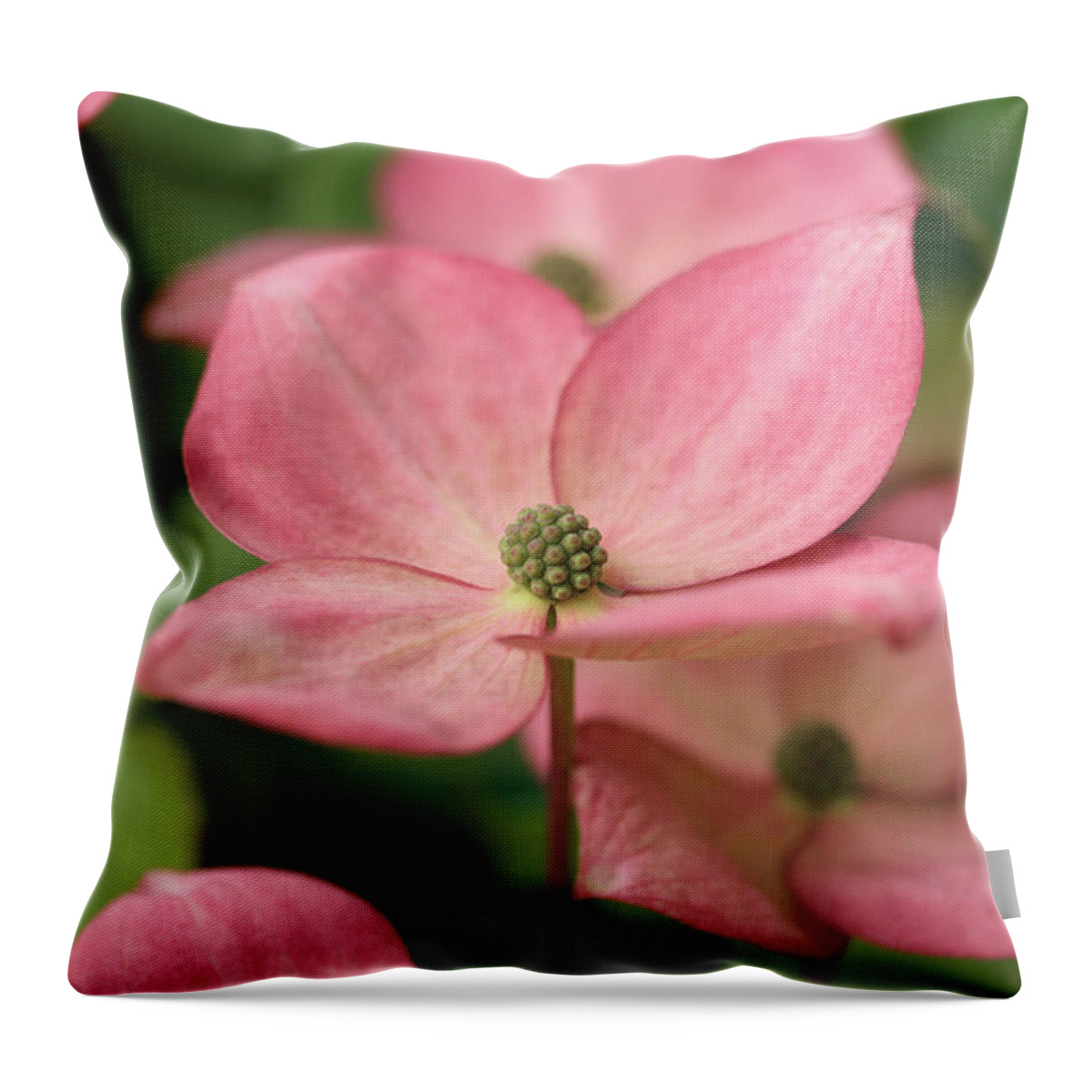 Connie Handscomb Throw Pillow featuring the photograph Up And Coming by Connie Handscomb