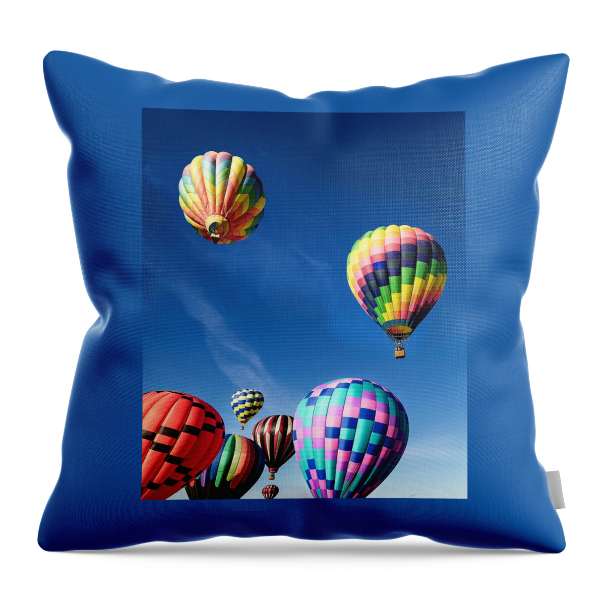 2018 Throw Pillow featuring the photograph Up in a Hot Air Balloon 2 by James Sage