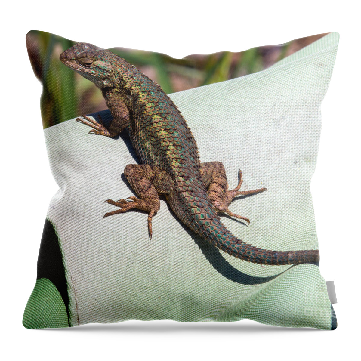 Lizard Throw Pillow featuring the photograph Up on High by Shawn Jeffries