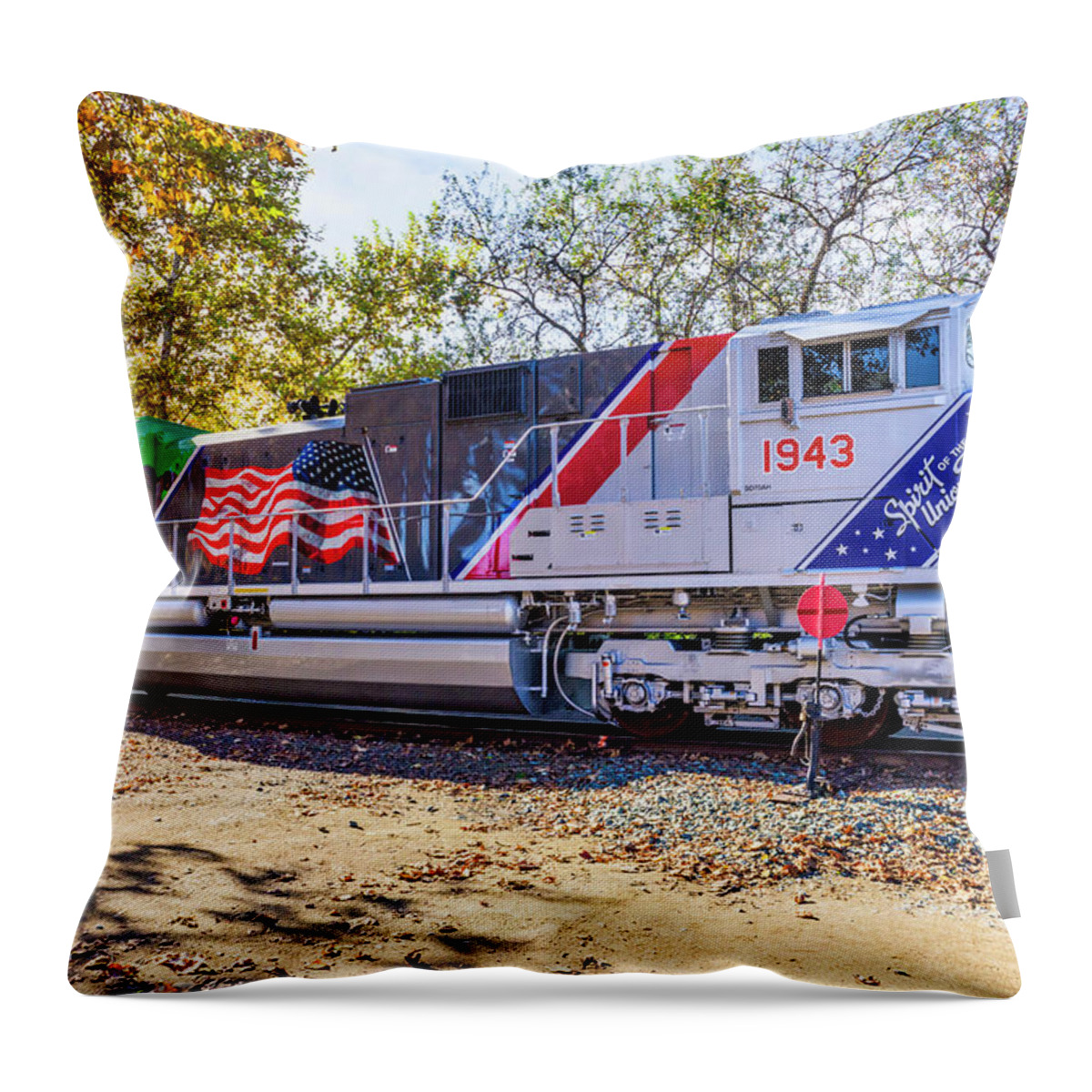 California State Railroad Museum Throw Pillow featuring the photograph UP1943 Spirit of the Union Pacific 06 by Jim Thompson