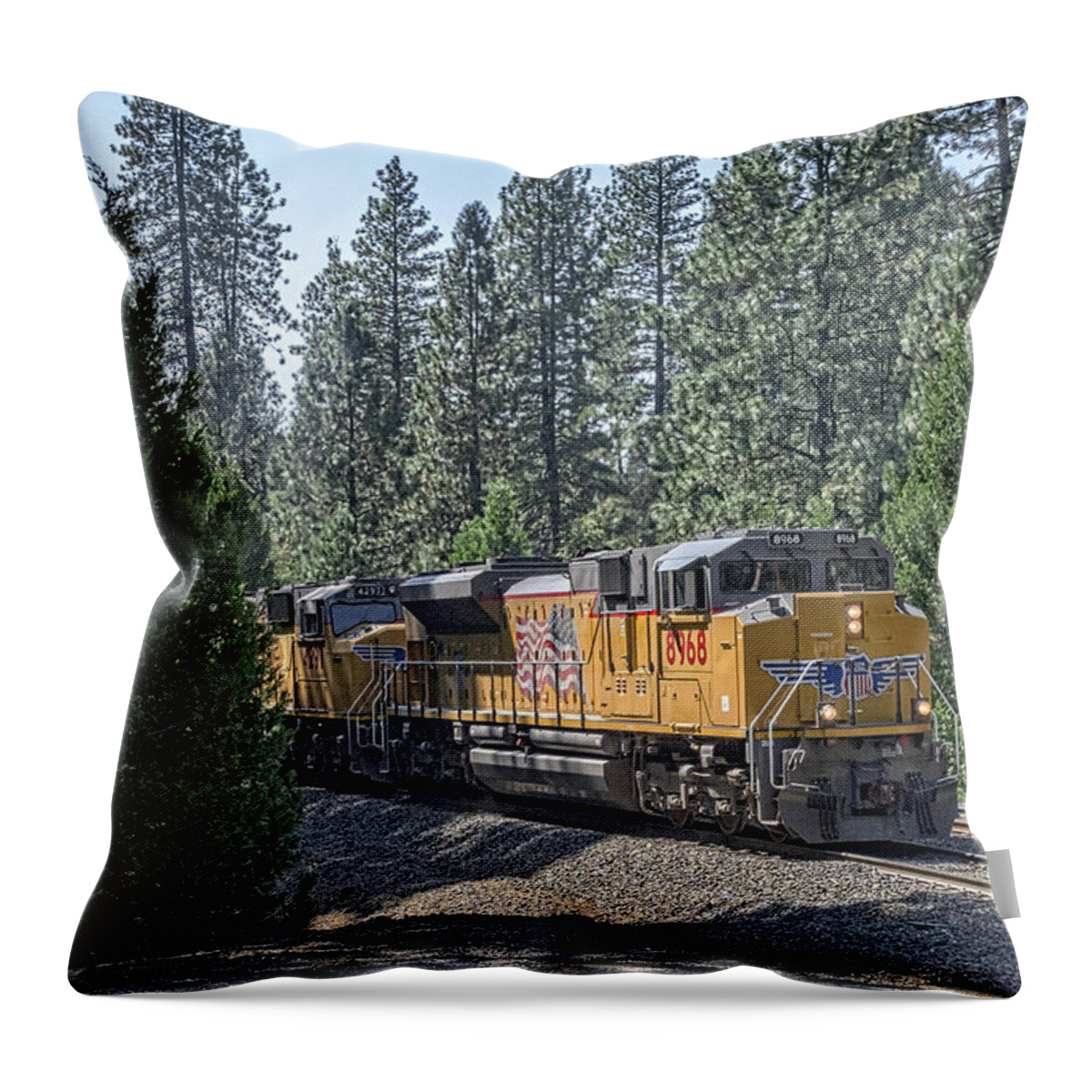 California Throw Pillow featuring the photograph Up8968 by Jim Thompson