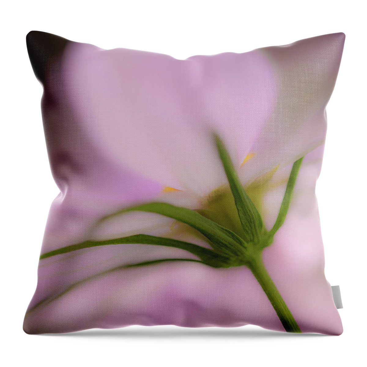 Cosmos Throw Pillow featuring the photograph Uplifting by Bob Cournoyer