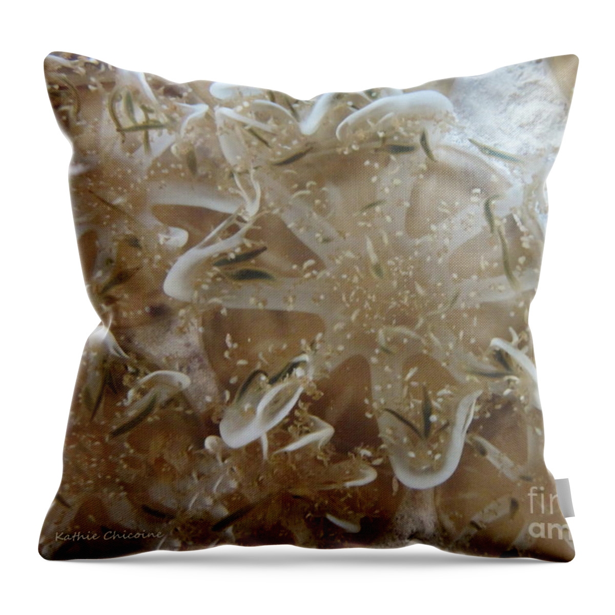 Photography Throw Pillow featuring the photograph Upside Down Jellyfish by Kathie Chicoine