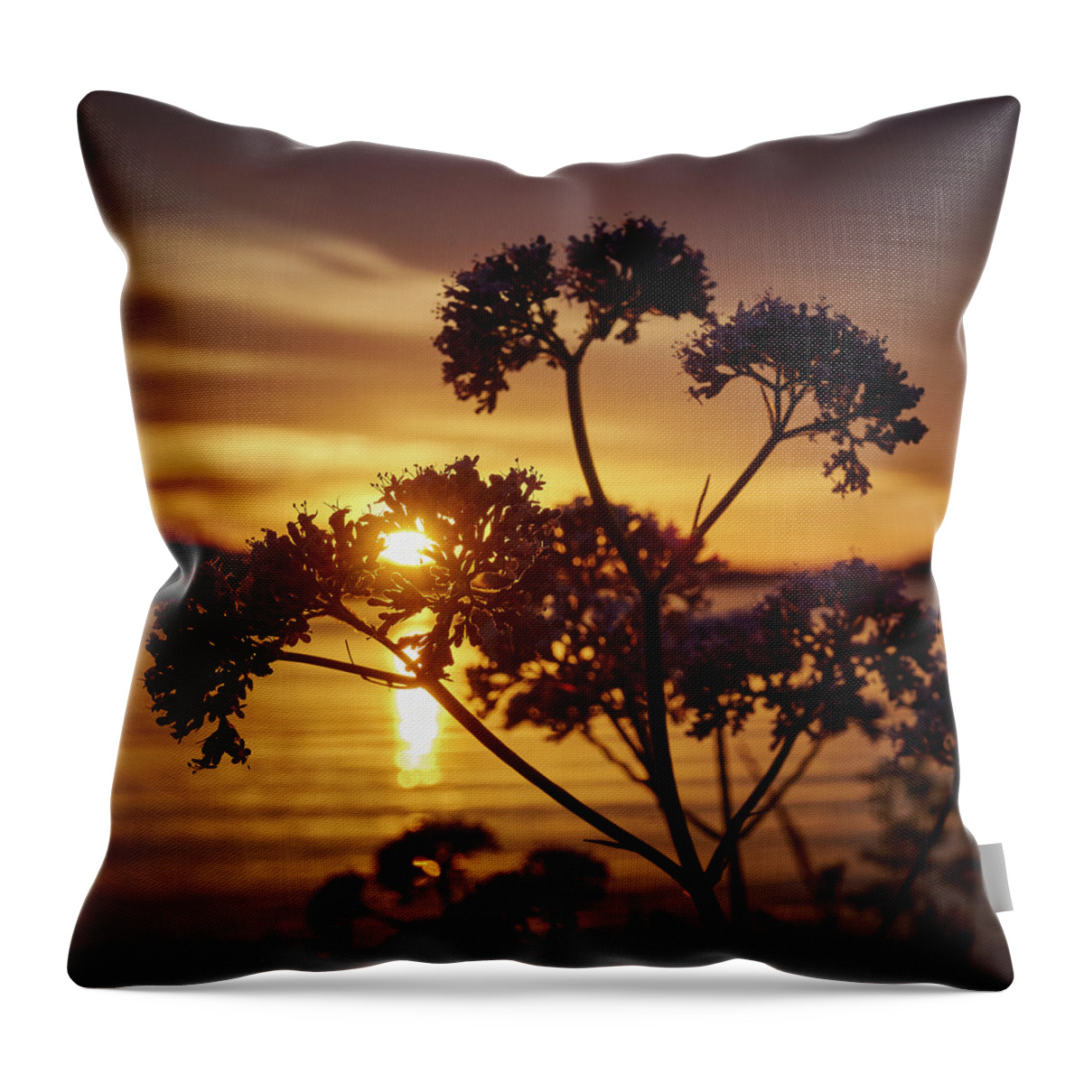 Finland Throw Pillow featuring the photograph Valerian sunset by Jouko Lehto