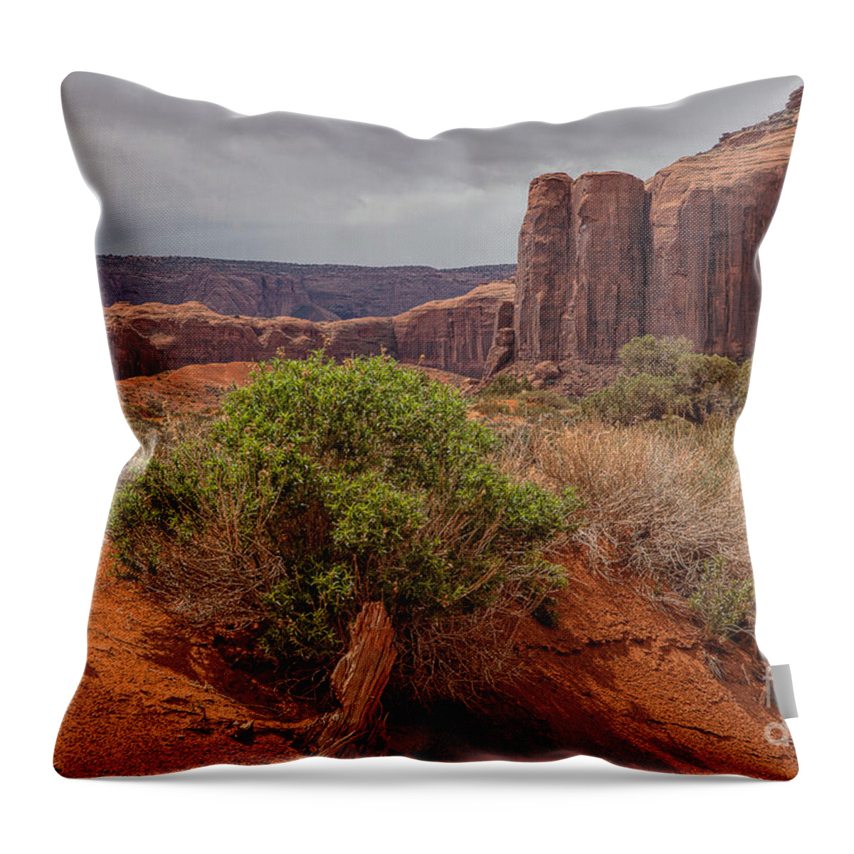 Monument Valley Print Throw Pillow featuring the photograph Valley of God by Jim Garrison