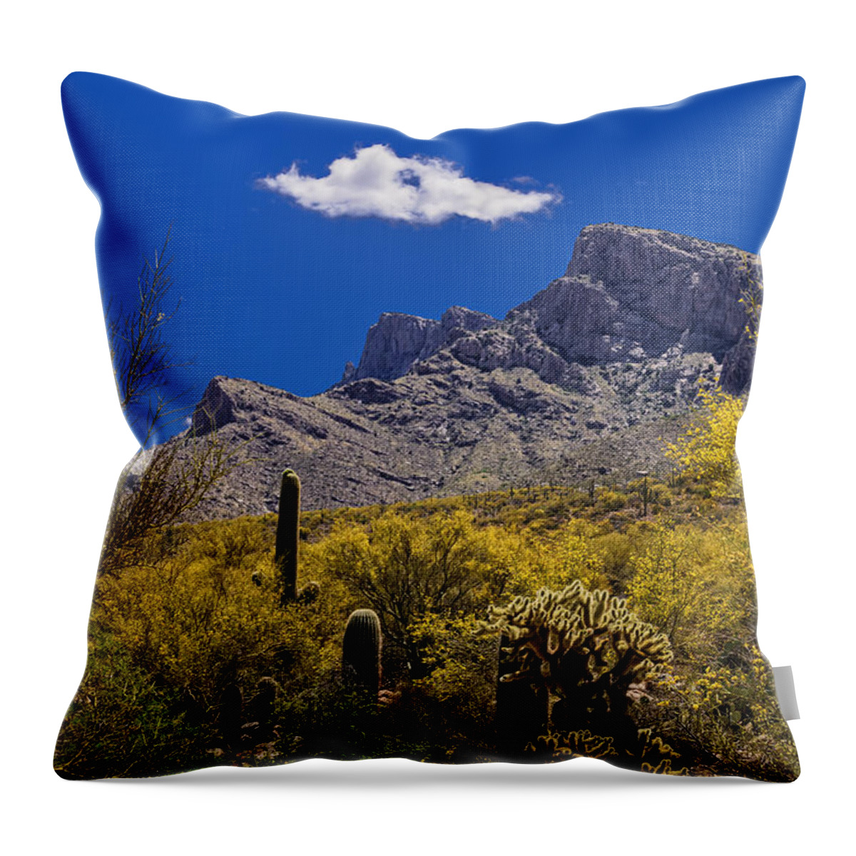 Design Throw Pillow featuring the photograph Valley View No.2 by Mark Myhaver