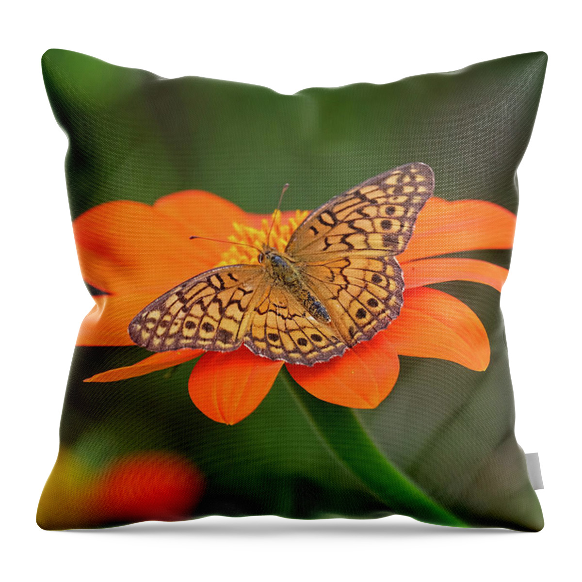 Variegated Fritillary Butterfly Throw Pillow featuring the photograph Variegated Fritillary on flower by Ronda Ryan