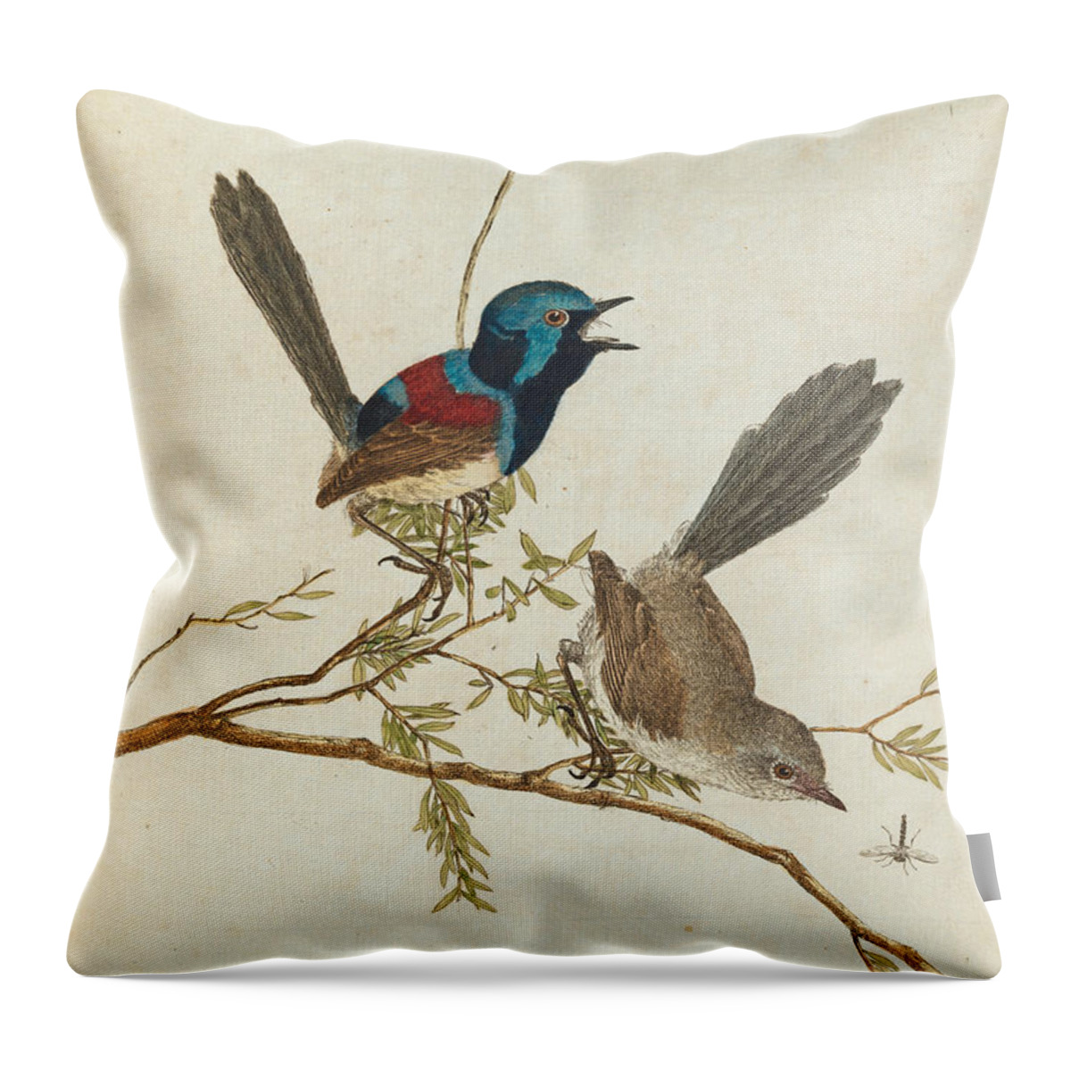 John Lewin Throw Pillow featuring the drawing Variegated Warbler by John Lewin