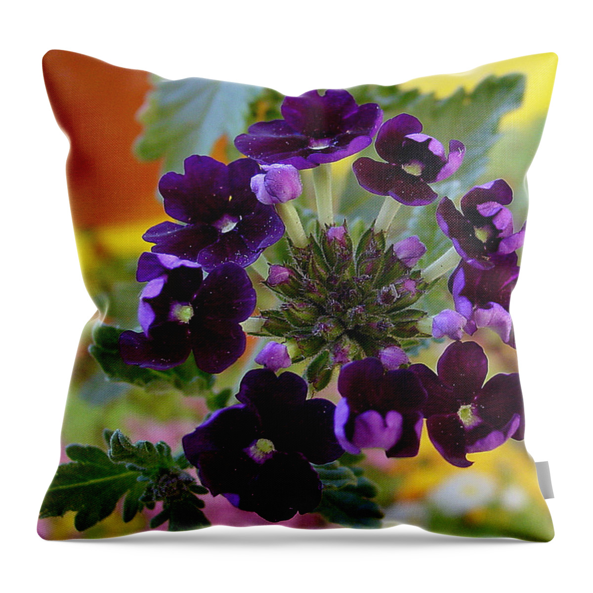 Purple Petals Throw Pillow featuring the photograph Velvet Petals by Kathy Bucari