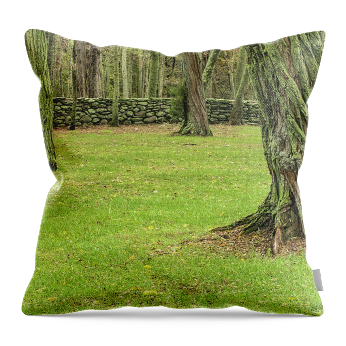 Stone Wall Throw Pillow featuring the photograph Venerable Trees and a Stone Wall by Nancy De Flon