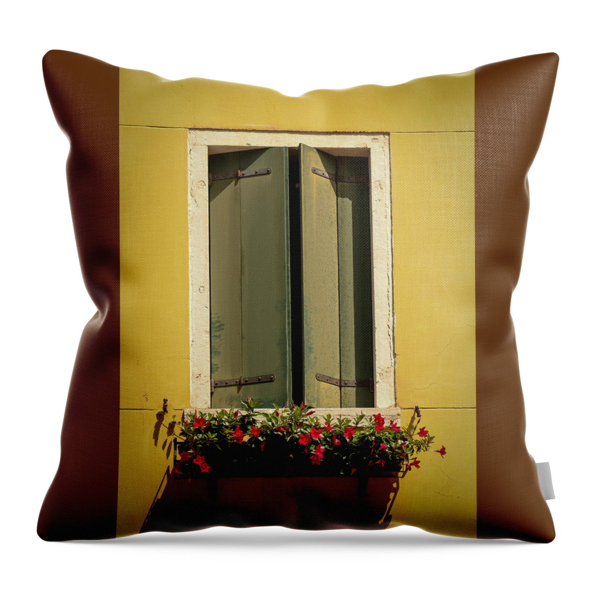 Venice Throw Pillow featuring the photograph Venice Window in Green by Kathleen Scanlan