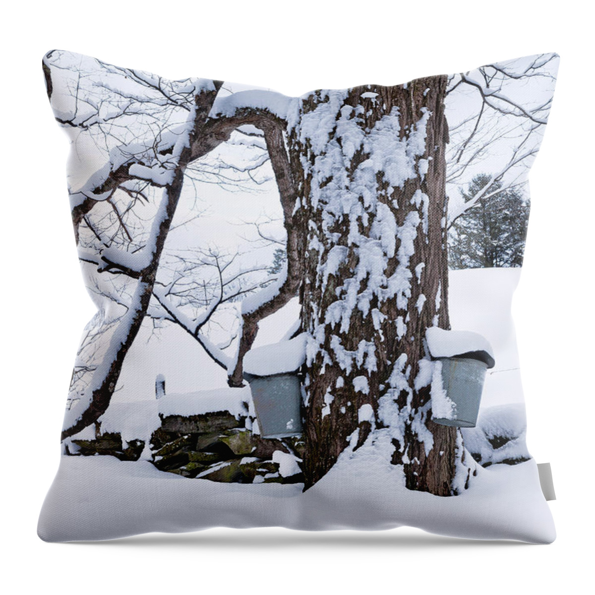 Winter Throw Pillow featuring the photograph Vermont Maple Sugaring Season by Alan L Graham