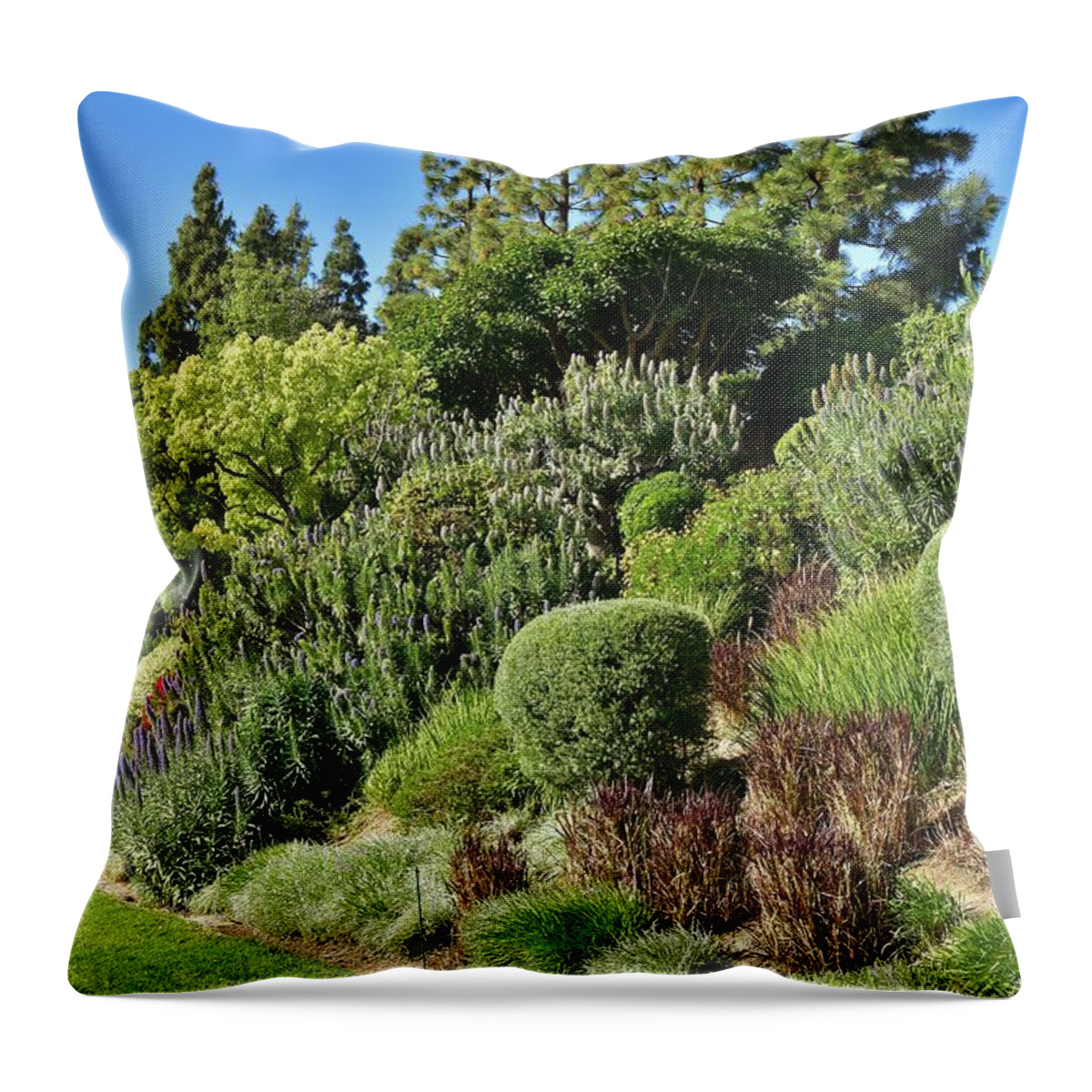Linda Brody Throw Pillow featuring the photograph Veronica spicata Royal Candles II by Linda Brody