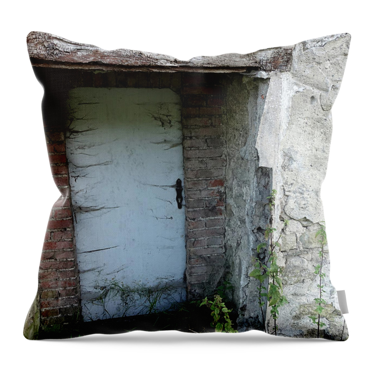 Locked Throw Pillow featuring the photograph Very long locked door by Eva-Maria Di Bella