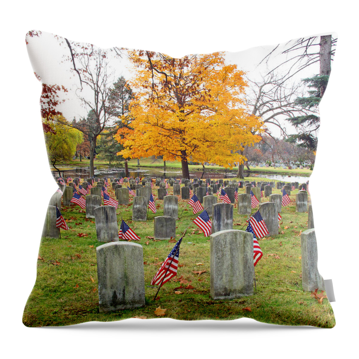 Veterans Throw Pillow featuring the photograph Veterans Day by Barbara McDevitt
