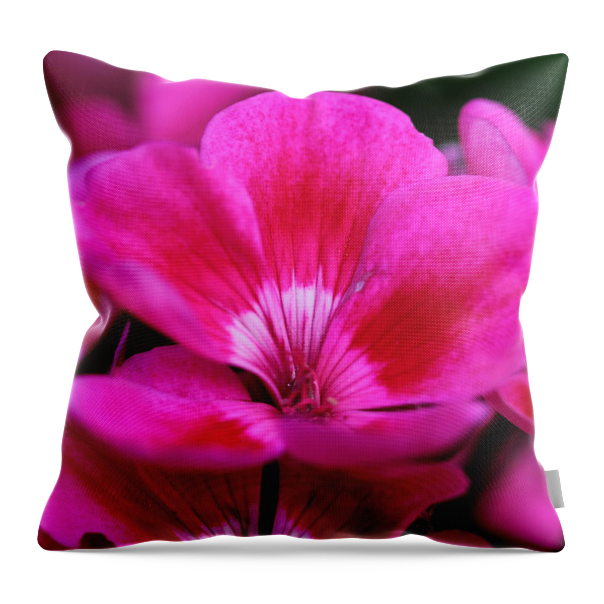 Pink Flowers Throw Pillow featuring the photograph Vibrant Pink Flowers by Angela Murdock