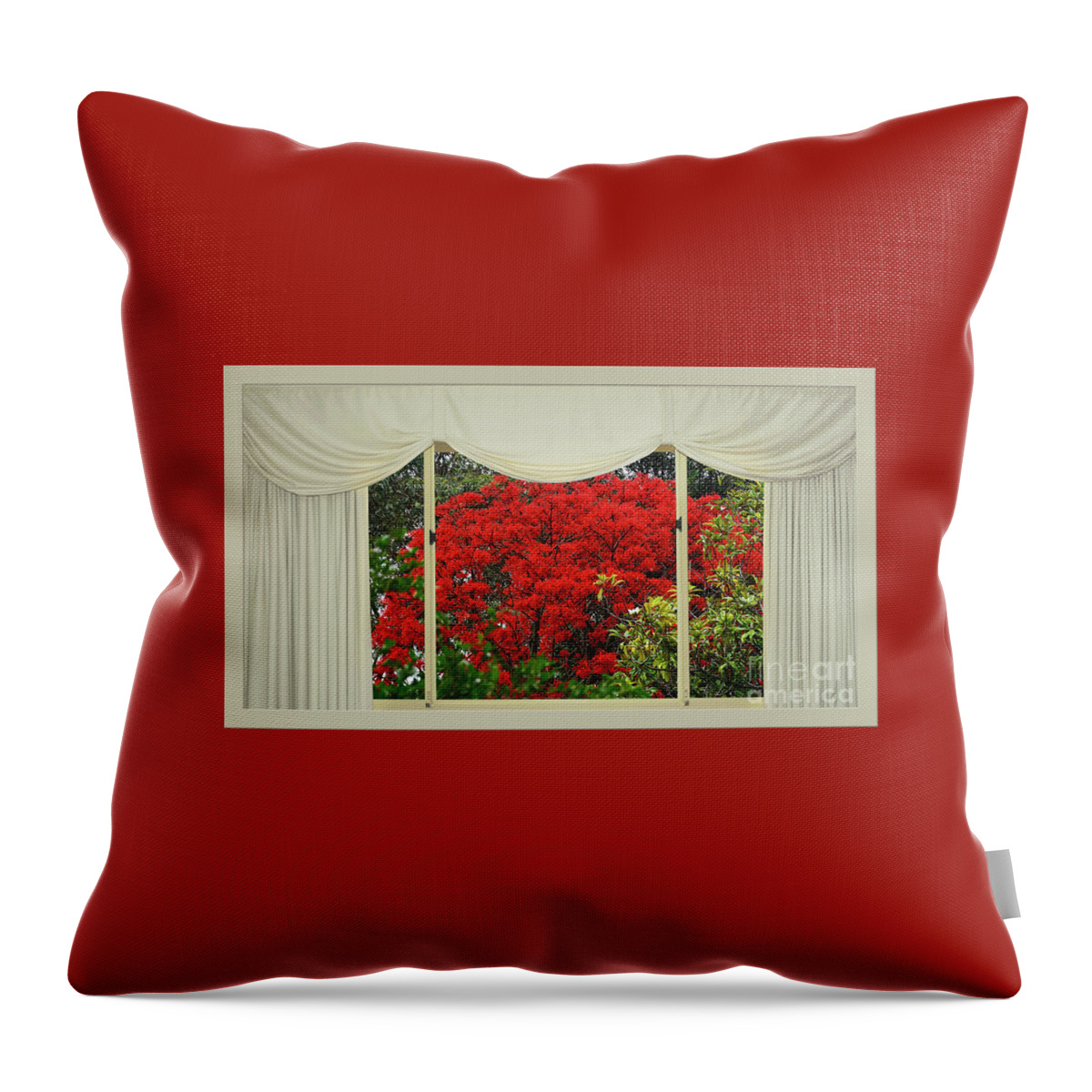 Vibrant Red Blossoms Window View Throw Pillow featuring the photograph Vibrant Red Blossoms Window View by Kaye Menner by Kaye Menner
