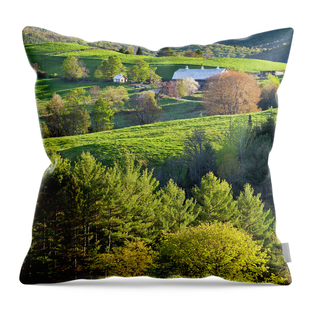 Spring Throw Pillow featuring the photograph Vibrant Spring by Alan L Graham