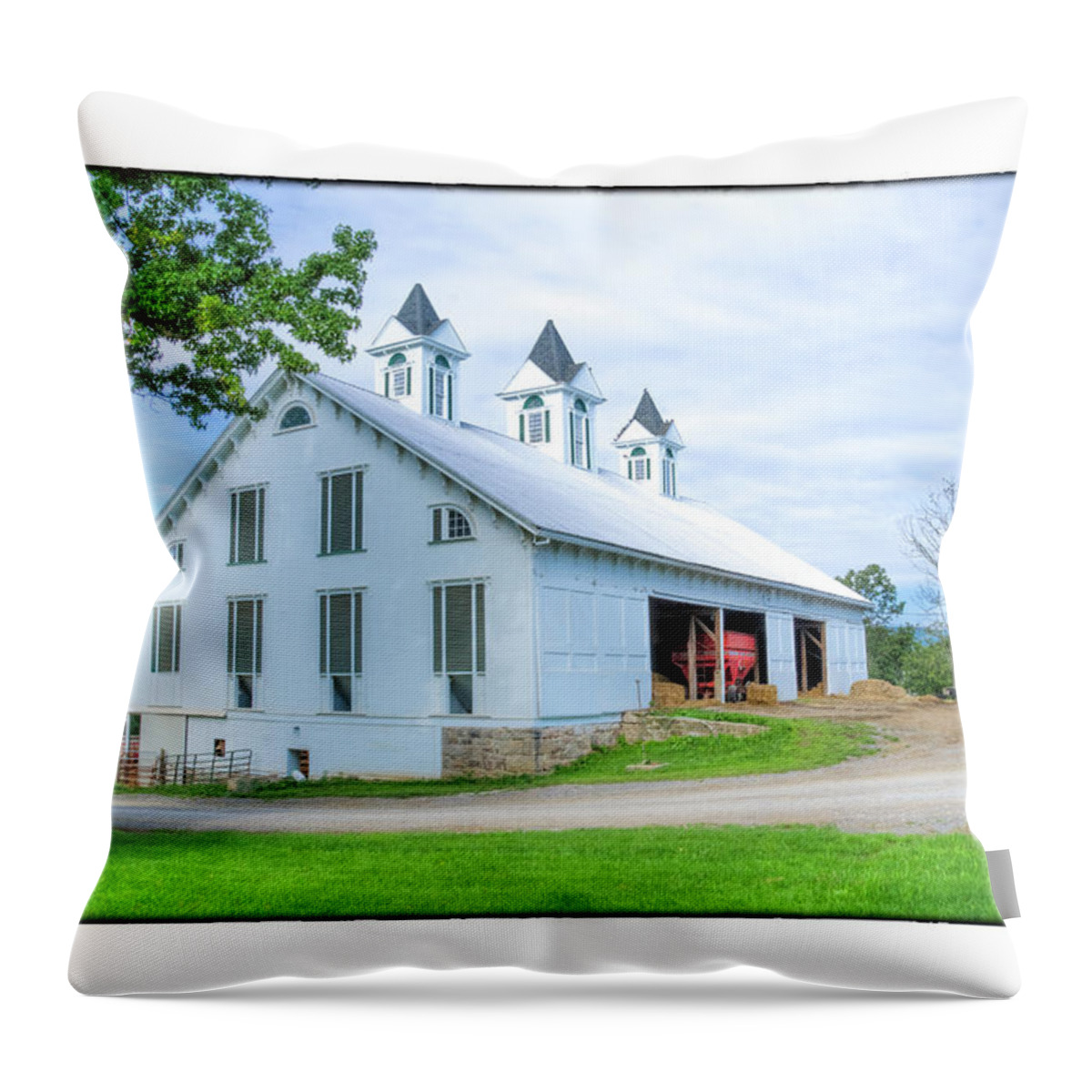 Victorian Throw Pillow featuring the photograph Victorian barn by R Thomas Berner
