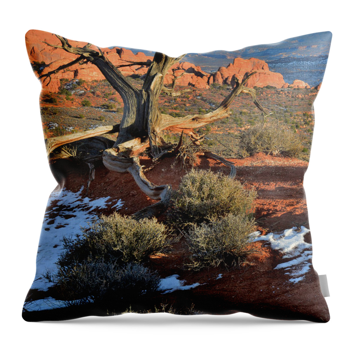 Arches National Park Throw Pillow featuring the photograph View along Park Road in Arches National Park by Ray Mathis